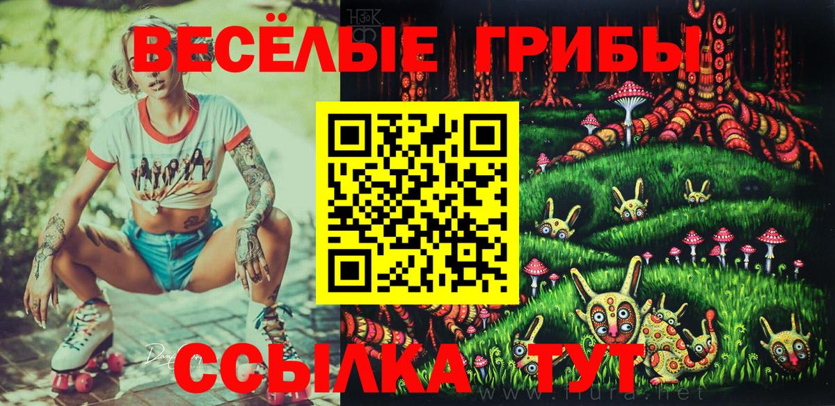 Галлюциногенные грибы GOLDEN TEACHER Дмитров